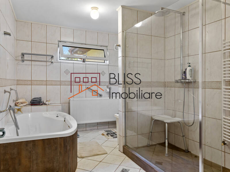 Premium 5 Bedroom Villa Located In Corbeanca, Bucharest / Ilfov | Bliss Imobiliare / Photo 45 - BLISS Imobiliare