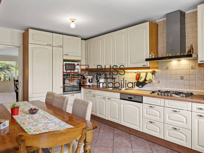 Premium 5 Bedroom Villa Located In Corbeanca, Bucharest / Ilfov | Bliss Imobiliare / Photo 36 - BLISS Imobiliare