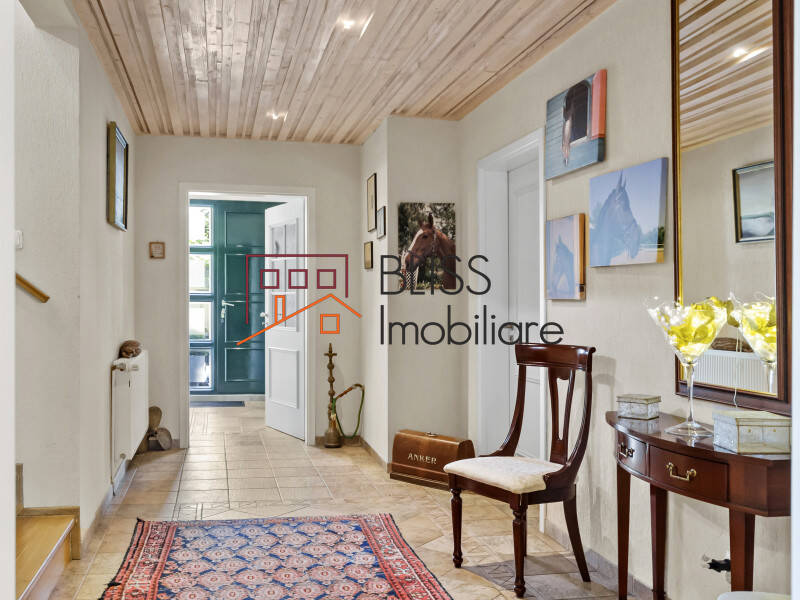 Premium 5 Bedroom Villa Located In Corbeanca, Bucharest / Ilfov | Bliss Imobiliare / Photo 38 - BLISS Imobiliare