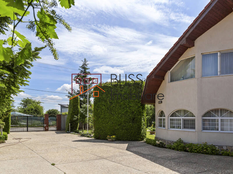 Premium 5 Bedroom Villa Located In Corbeanca, Bucharest / Ilfov | Bliss Imobiliare / Photo 66 - BLISS Imobiliare
