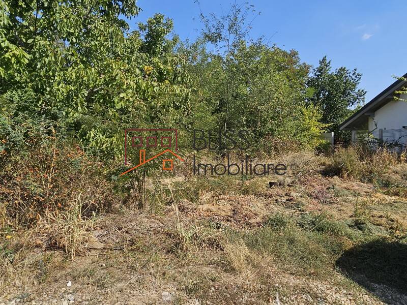 Photo 4 - BLISS Imobiliare