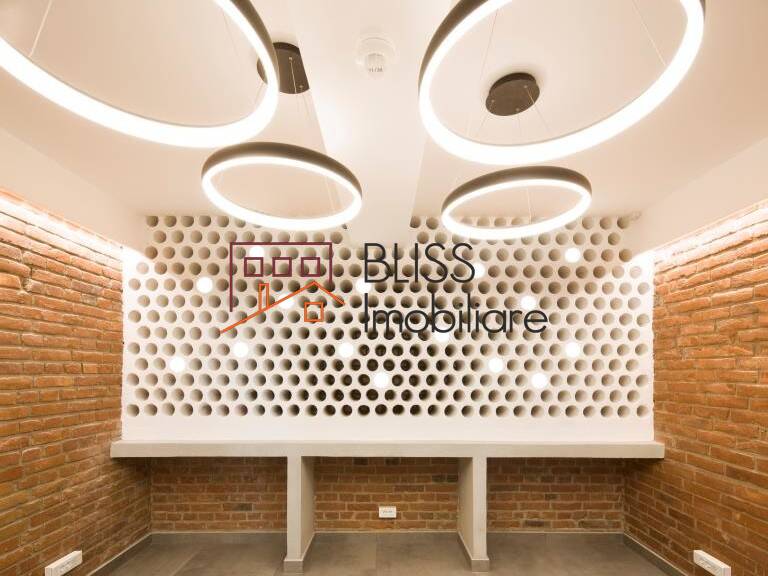 Vila, 9 Camere, Aviatorilor | Bliss Imobiliare / Photo 39 - BLISS Imobiliare