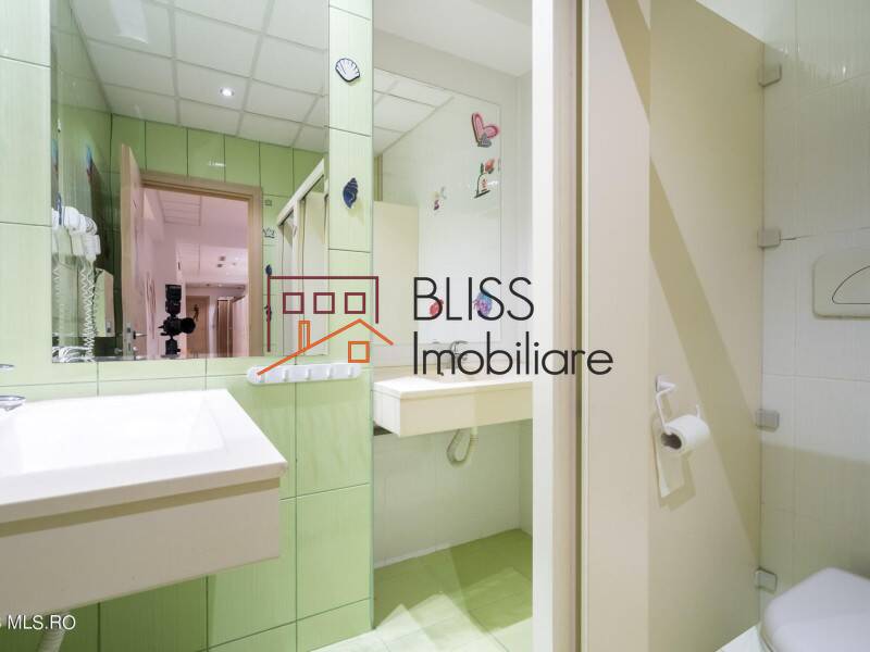 Apartment for Sale Splaiul Unirii, Bucharest - 1 Bedroom - ID:118897 | Bliss Imobiliare / Photo 25 - BLISS Imobiliare