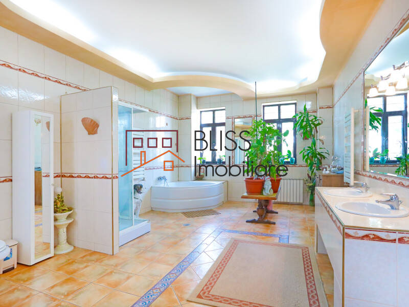 Villa for Sale Cotroceni, Bucharest - 9 Rooms - ID:54135 | Bliss Imobiliare / Photo 24 - BLISS Imobiliare
