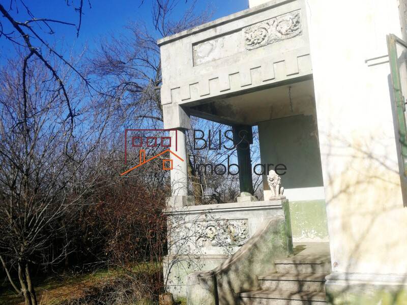 Vila de Vanzare Potcoava - 5 Camere - ID:119216 | Bliss Imobiliare / Photo 3 - BLISS Imobiliare