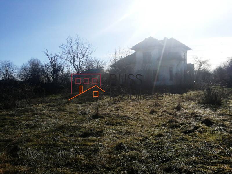 Villa for Sale Potcoava, Oras Potcoava, Judetul Olt, Romania - 5 Rooms - ID:119216 | Bliss Imobiliare / Photo 1 - BLISS Imobiliare