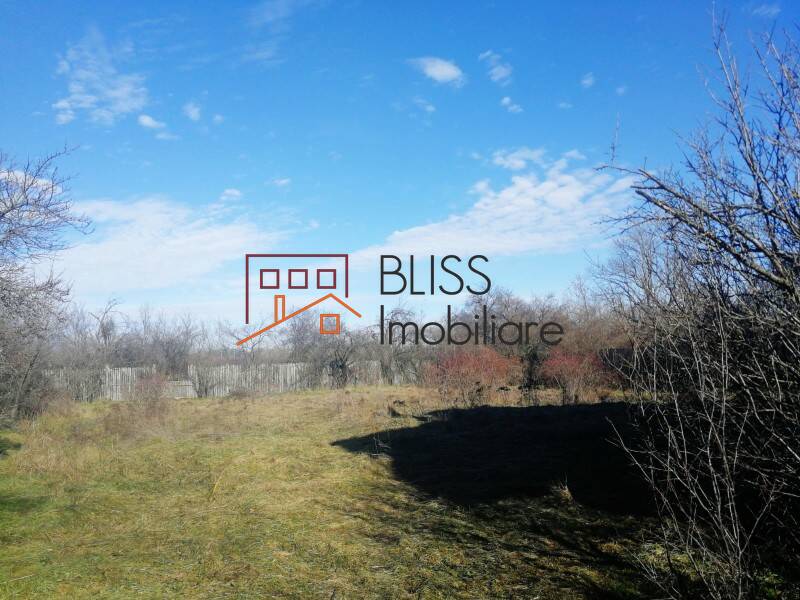 Vila de Vanzare Potcoava - 5 Camere - ID:119216 | Bliss Imobiliare / Photo 5 - BLISS Imobiliare