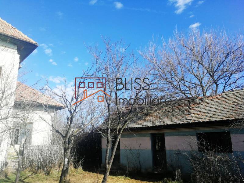 Villa for Sale Potcoava, Oras Potcoava, Judetul Olt, Romania - 5 Rooms - ID:119216 | Bliss Imobiliare / Photo 4 - BLISS Imobiliare