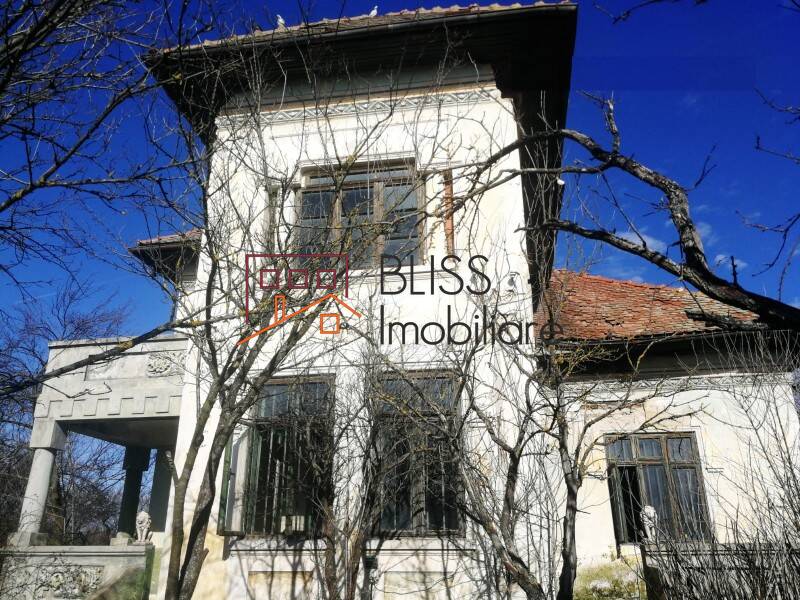 Vila de Vanzare Potcoava - 5 Camere - ID:119216 | Bliss Imobiliare / Photo 2 - BLISS Imobiliare