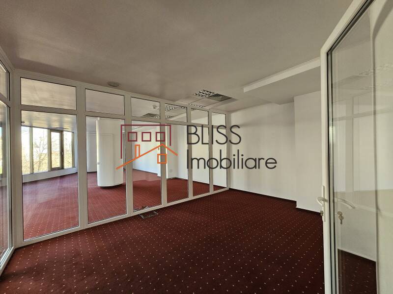 Office space for Rent Piata Victoriei, Bucharest - 3 Rooms - ID:119953 | Bliss Imobiliare / Photo 8 - BLISS Imobiliare
