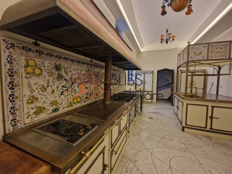 Historical Villa With 28-rooms Dorobanti, Bucharest | Bliss Imobiliare / Photo 10 - BLISS Imobiliare