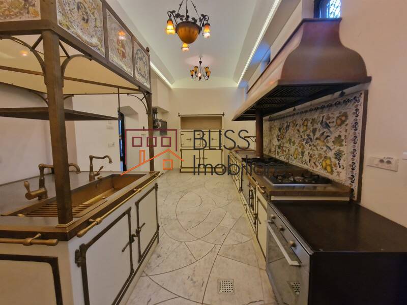 Historical Villa With 28-rooms Dorobanti, Bucharest | Bliss Imobiliare / Photo 11 - BLISS Imobiliare