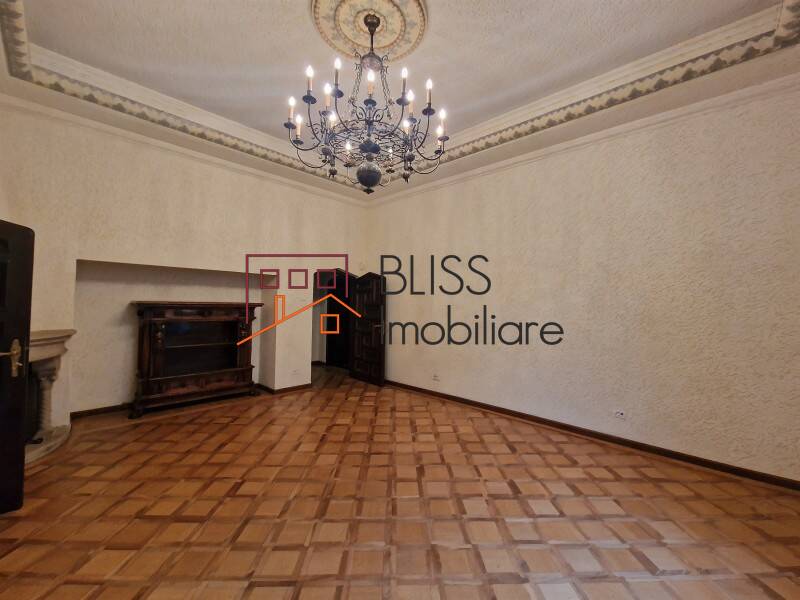 Historical Villa With 28-rooms Dorobanti, Bucharest | Bliss Imobiliare / Photo 14 - BLISS Imobiliare