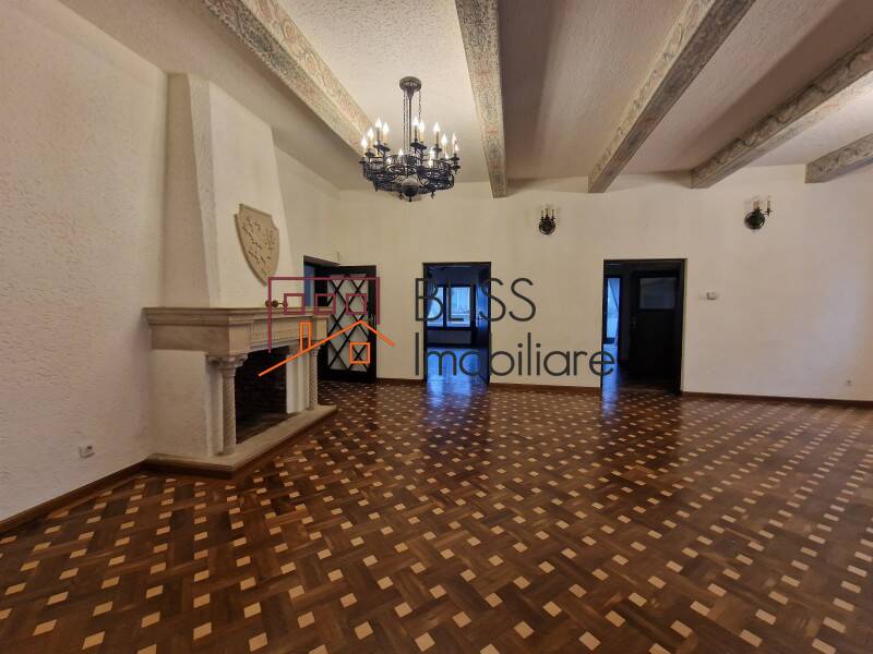 Historical Villa With 28-rooms Dorobanti, Bucharest | Bliss Imobiliare / Photo 21 - BLISS Imobiliare