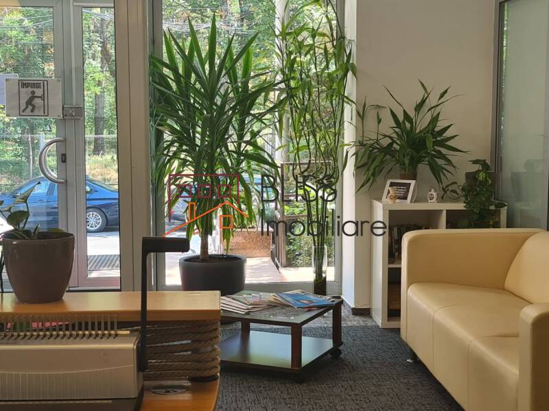 Office space for Rent Domenii | 1 Mai | Grivitei, Bucharest - ID:120074 | Bliss Imobiliare / Photo 6 - BLISS Imobiliare