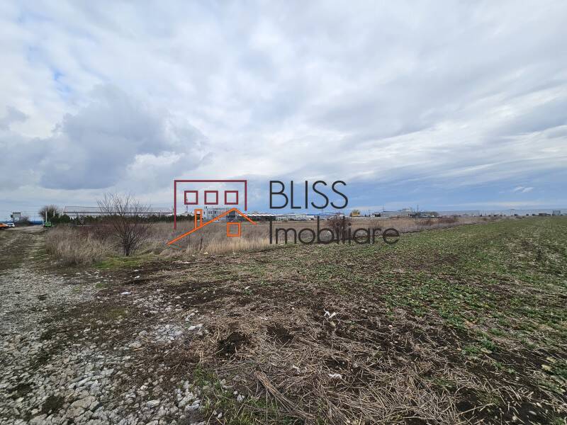 Photo 2 - BLISS Imobiliare