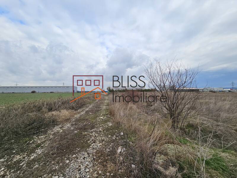 Photo 3 - BLISS Imobiliare