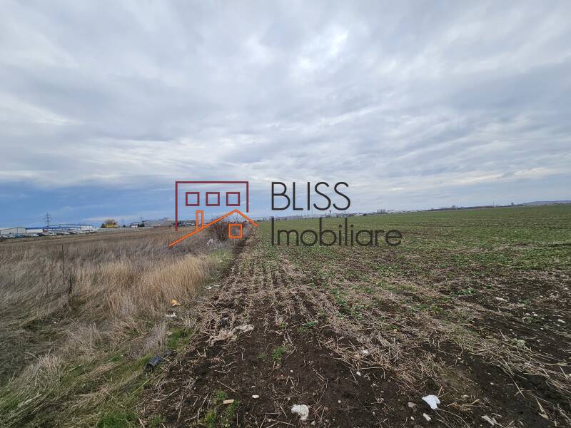 Photo 5 - BLISS Imobiliare