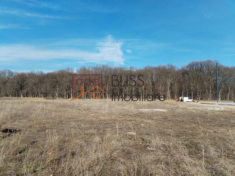 Photo 4 - BLISS Imobiliare