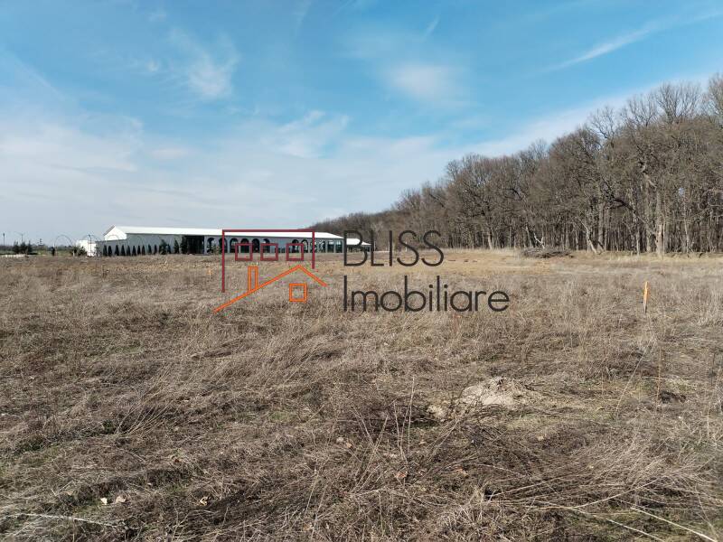 Photo 7 - BLISS Imobiliare