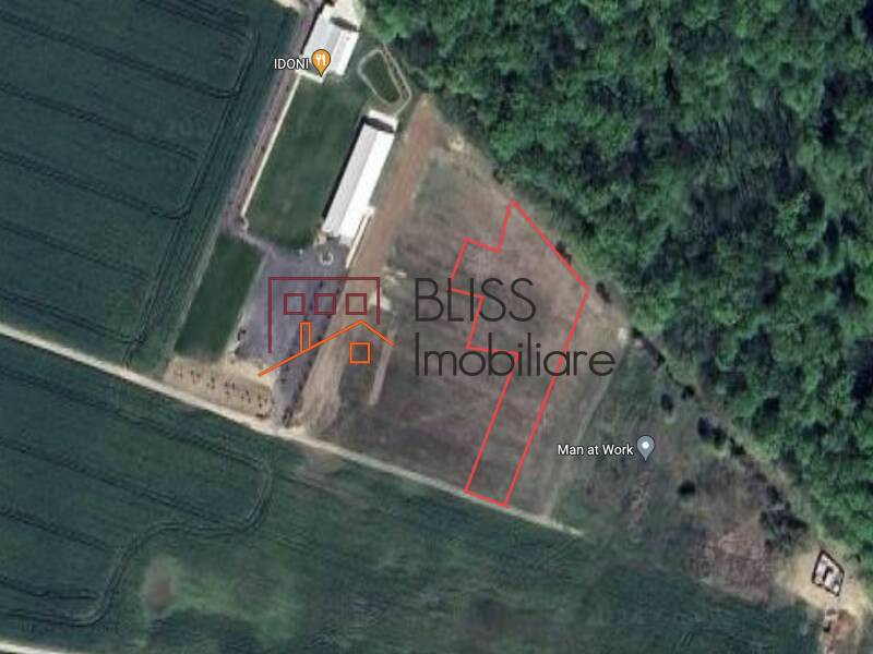 Photo 1 - BLISS Imobiliare