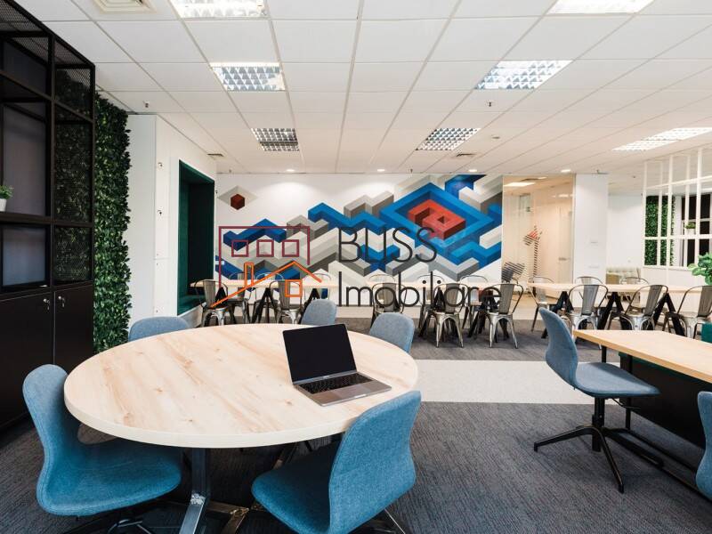 Private Office Space, Bucharest | Bliss Imobiliare / Photo 5 - BLISS Imobiliare