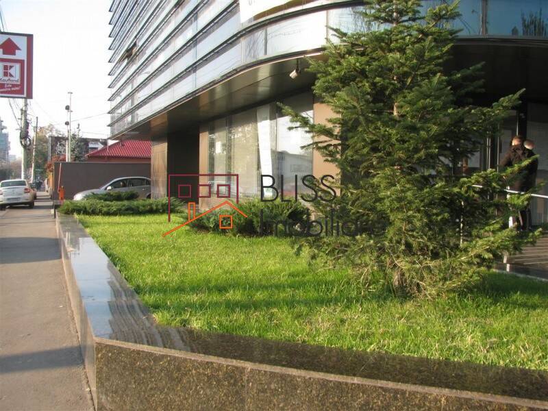 Office space for Rent Lacul Tei, Bucharest - 2 Rooms - ID:121274 | Bliss Imobiliare / Photo 8 - BLISS Imobiliare