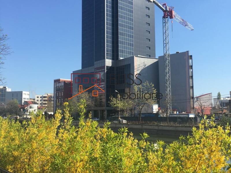 Spatiu De Birouri | Bliss Imobiliare / Photo 9 - BLISS Imobiliare