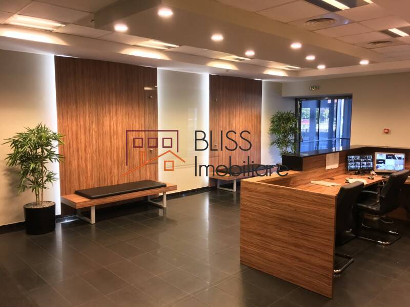 Office Space, Bucharest | Bliss Imobiliare / Photo 17 - BLISS Imobiliare