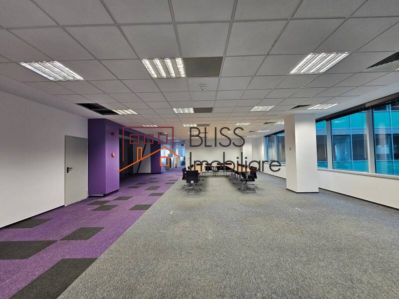 Spatiu De Birouri Floreasca Park | Bliss Imobiliare / Photo 11 - BLISS Imobiliare