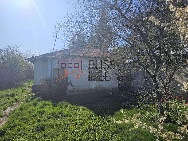 Photo 3 - BLISS Imobiliare