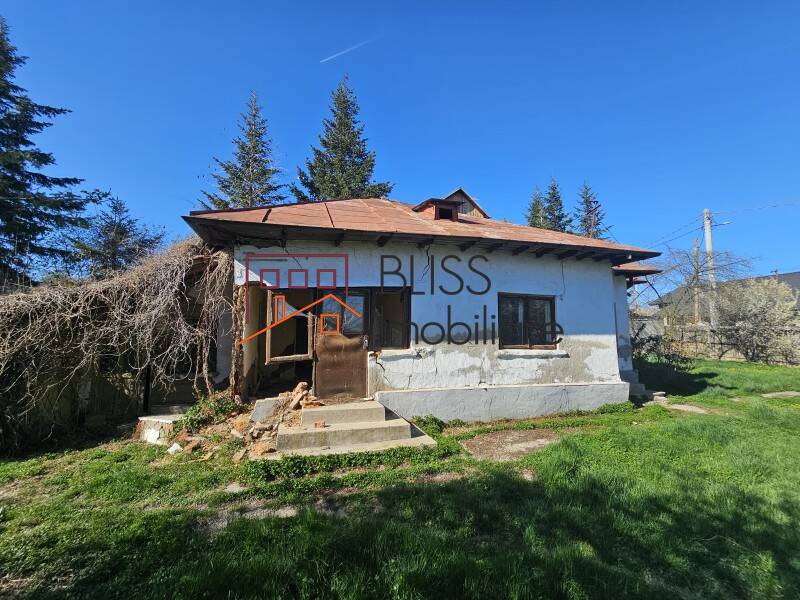 Photo 5 - BLISS Imobiliare