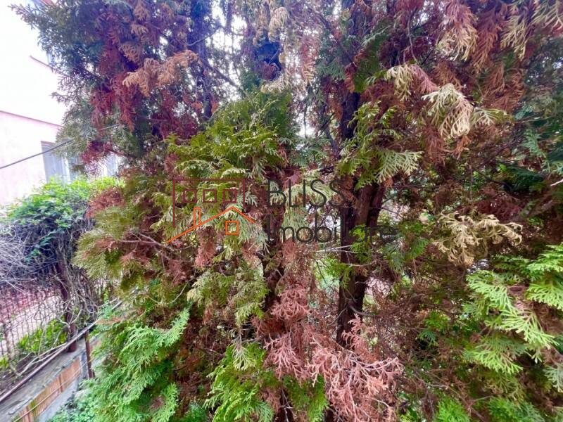 Vila Cu 10 Camere | Bliss Imobiliare / Photo 5 - BLISS Imobiliare