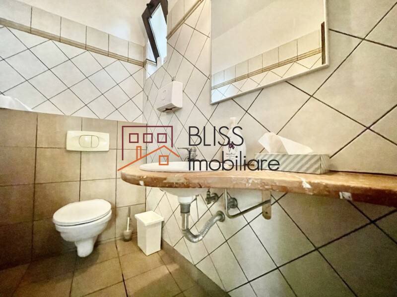 10-bedroom Villa, Bucharest | Bliss Imobiliare / Photo 9 - BLISS Imobiliare