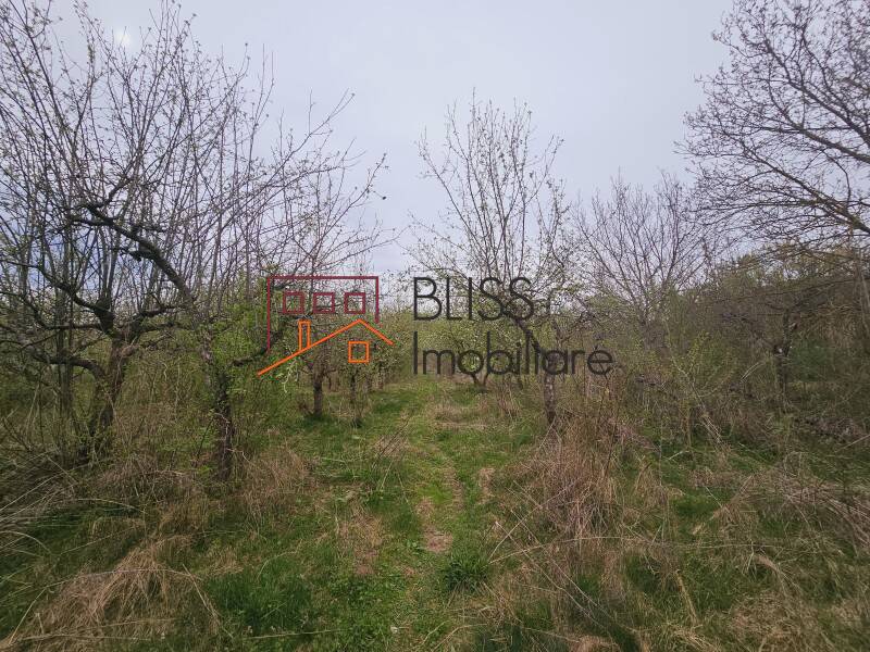 House / Villa With 10 Rooms Near Baile Pucioasa, Judetul Dambovita, Romania | Bliss Imobiliare / Photo 39 - BLISS Imobiliare