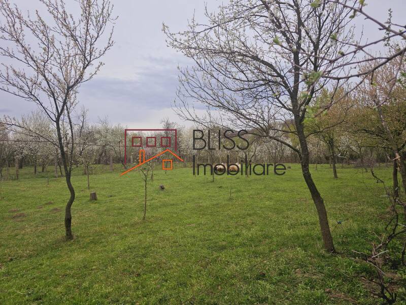House / Villa With 10 Rooms Near Baile Pucioasa, Judetul Dambovita, Romania | Bliss Imobiliare / Photo 40 - BLISS Imobiliare