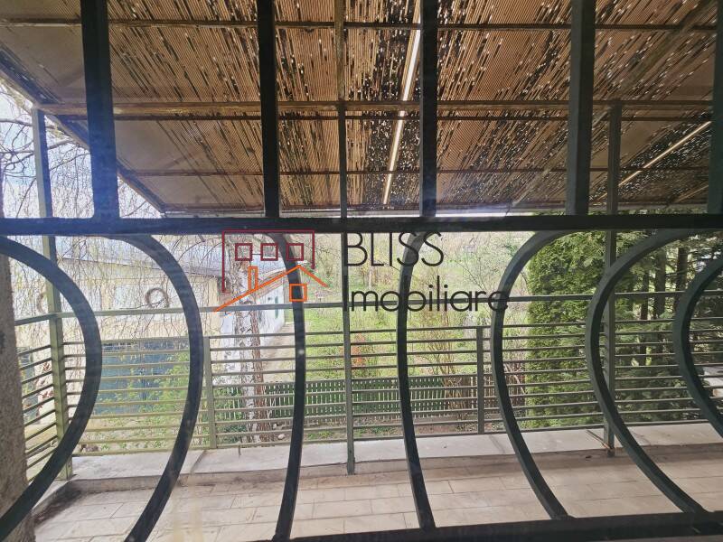 House / Villa With 10 Rooms Near Baile Pucioasa, Judetul Dambovita, Romania | Bliss Imobiliare / Photo 25 - BLISS Imobiliare