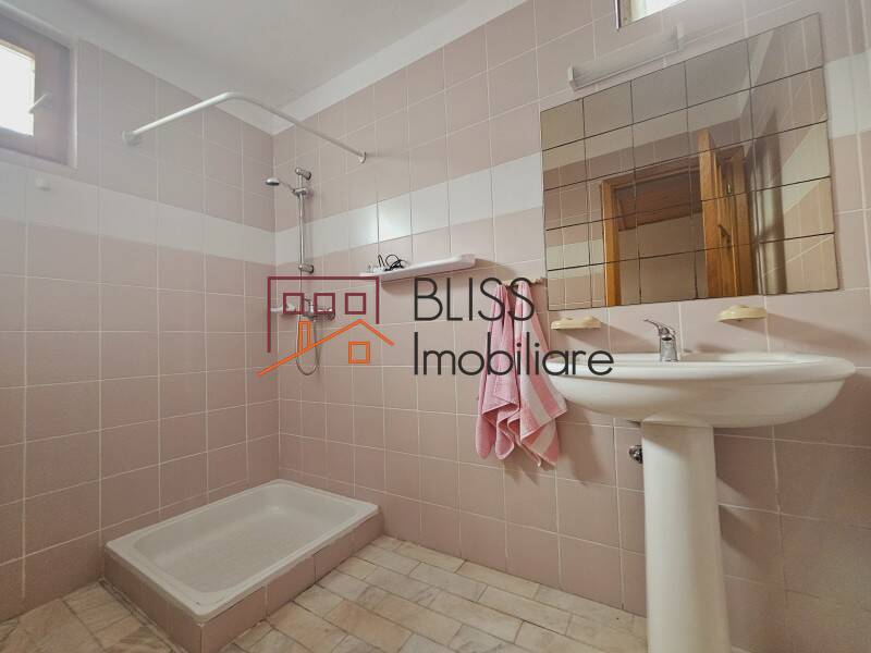 House / Villa With 10 Rooms Near Baile Pucioasa, Judetul Dambovita, Romania | Bliss Imobiliare / Photo 32 - BLISS Imobiliare