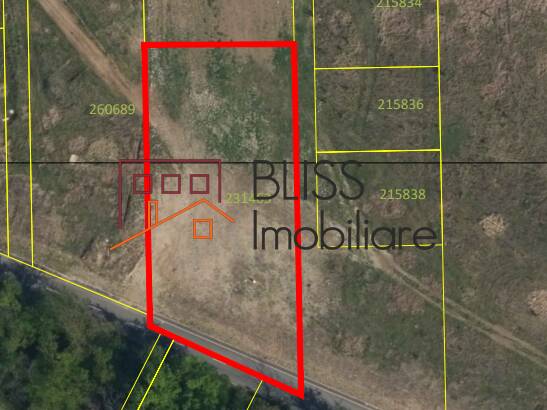 Photo 1 - BLISS Imobiliare