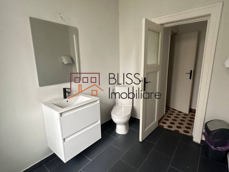 Spatiu 256mp In Vila Dorobanti-Capitale | Bliss Imobiliare / Photo 19 - BLISS Imobiliare