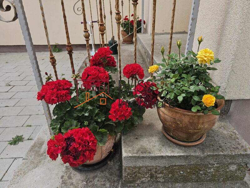 House For Rent In Mogosoaia | 5 Bedrooms, Large Garden, Fully Furnished, Bucharest / Ilfov | Bliss Imobiliare / Photo 12 - BLISS Imobiliare