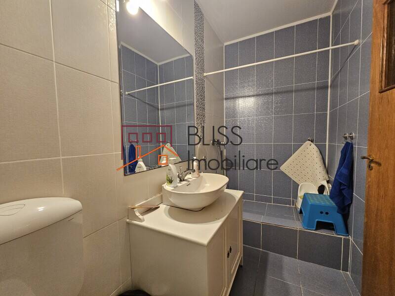 House For Rent In Mogosoaia | 5 Bedrooms, Large Garden, Fully Furnished, Bucharest / Ilfov | Bliss Imobiliare / Photo 29 - BLISS Imobiliare