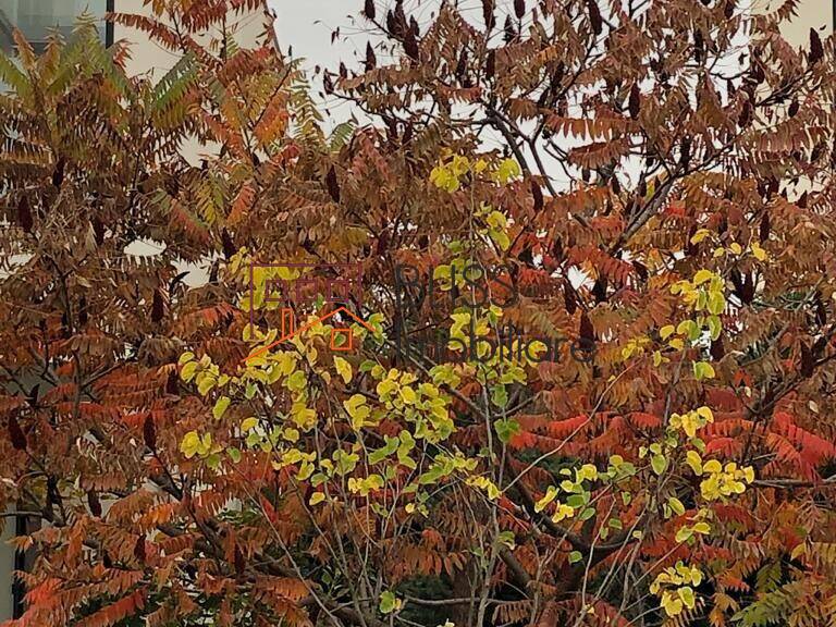 Luxury 4-Bedroom Modern Property With Garden In Exclusive Location, Bucharest / Ilfov | Bliss Imobiliare / Photo 3 - BLISS Imobiliare