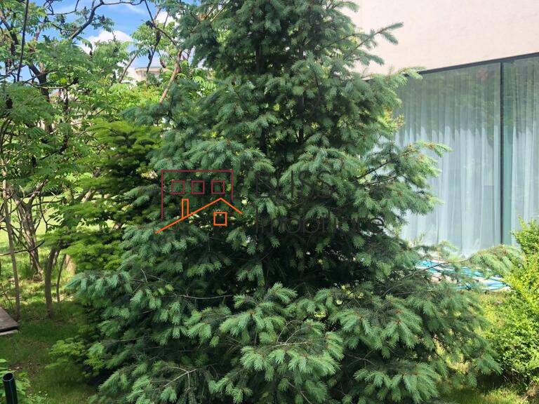 Proprietate De Lux Cu 6 Camere Si Gradina In Locatie Exclusivista | Bliss Imobiliare / Photo 6 - BLISS Imobiliare