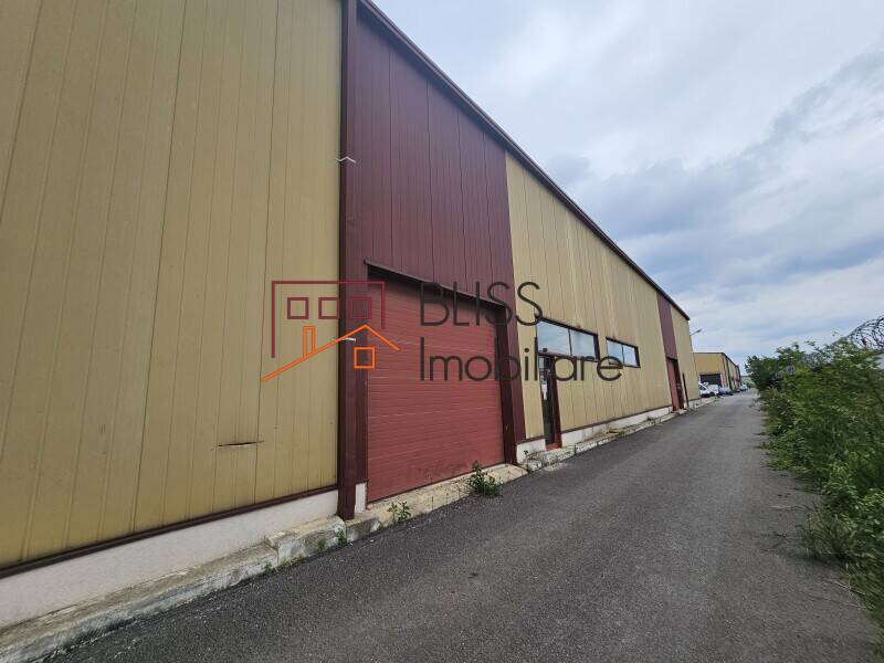 Spatiu Industrial / Logistica Premium In Otopeni | Bliss Imobiliare / Photo 9 - BLISS Imobiliare
