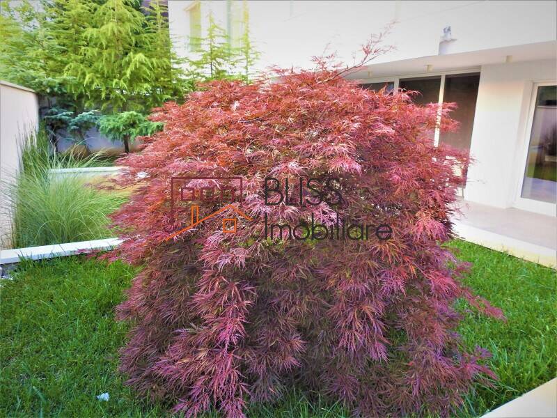 Exceptional Duplex Apartment In Baneasa Jolie Ville - Luxury Living With Terrace-Garden, Bucharest / Ilfov | Bliss Imobiliare / Photo 8 - BLISS Imobiliare