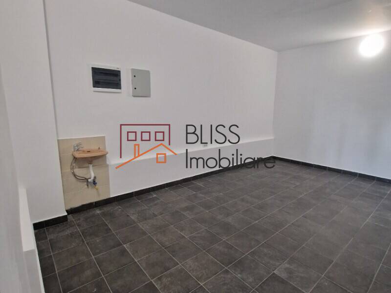 4 Bedroom Villa In Iancu Nicolae, Pipera, Bucharest / Ilfov | Bliss Imobiliare / Photo 28 - BLISS Imobiliare