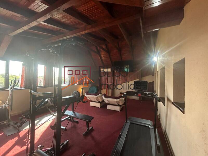 5 Bedrooms Pipera With Large Yard, Bucharest / Ilfov | Bliss Imobiliare / Photo 36 - BLISS Imobiliare