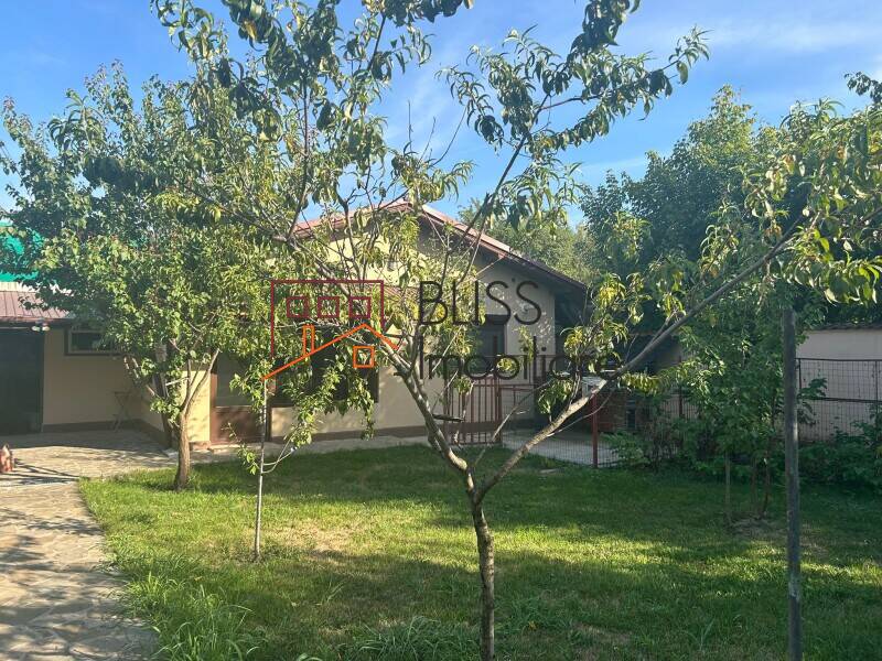 5 Bedrooms Pipera With Large Yard, Bucharest / Ilfov | Bliss Imobiliare / Photo 49 - BLISS Imobiliare