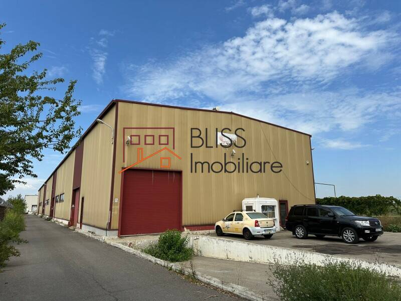 Prime Warehouse/Industrial Space In Otopeni, Bucharest / Ilfov | Bliss Imobiliare / Photo 4 - BLISS Imobiliare